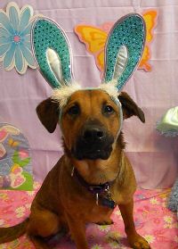 Max A Easter 11.jpg